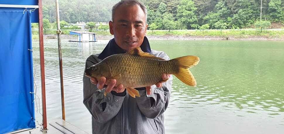 공주 고성낚시터 입니다 (유료터정보 - 유료터점주조황)