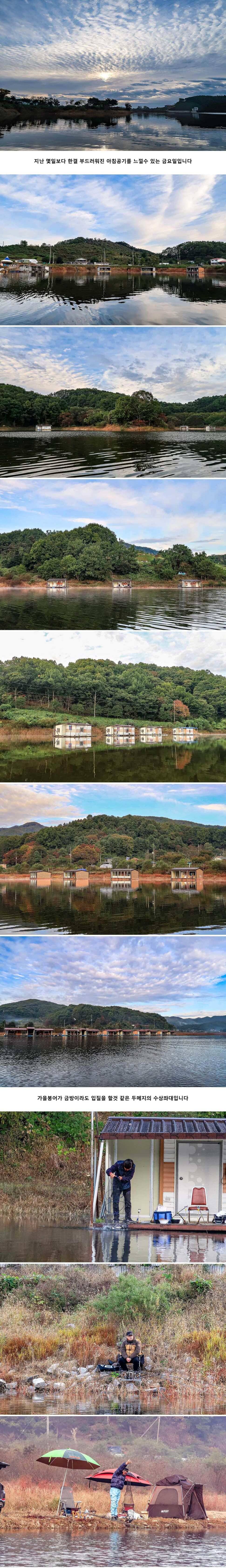 안성 두메낚시터 10월 18일 조황정보 (유료터정보 - 유료터점주조황)