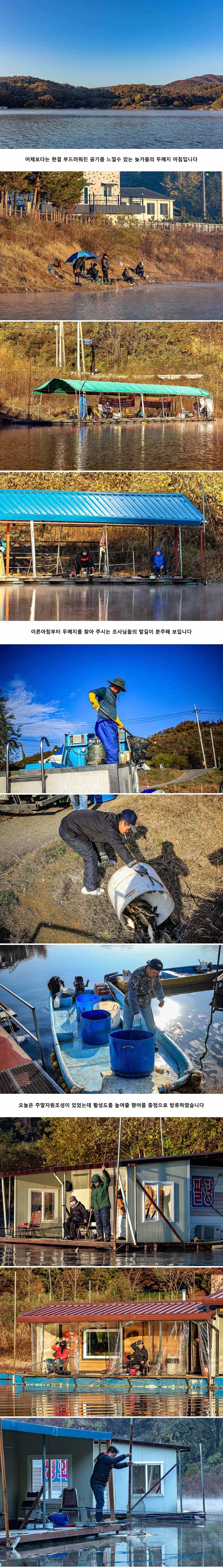 안성 두메낚시터 11월 9일 조황정보 (유료터정보 - 유료터점주조황)