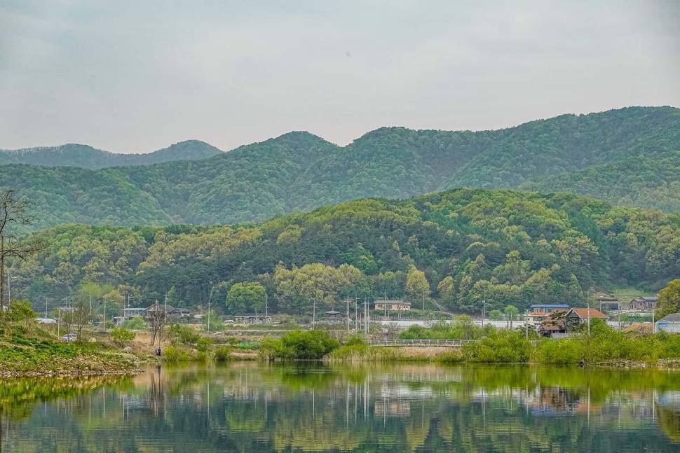안성 두메낚시터 4월 22일 조황정보 (유료터정보 - 유료터점주조황)