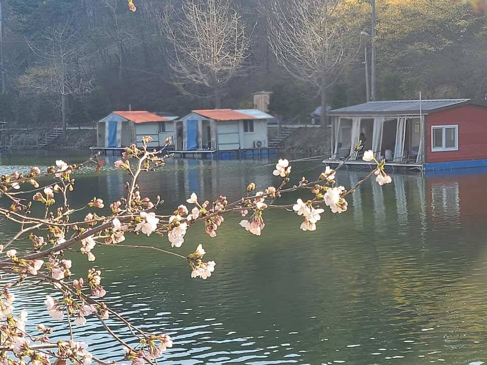 힐링 양평 수곡낚시터 월요일 조황 및 수상좌대 할인요금 안내 (유료터정보 - 유료터점주조황)