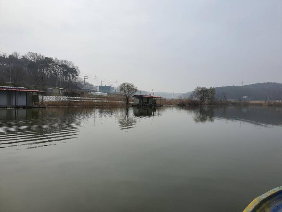 당진 가교리 낚시터 3월 30일 조황입니다 (유료터정보 - 유료터점주조황)