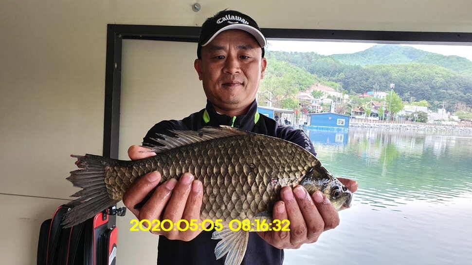신원낚시터5월13일 토종대물 덩어리 사진입니다 (유료터정보 - 유료터점주조황)