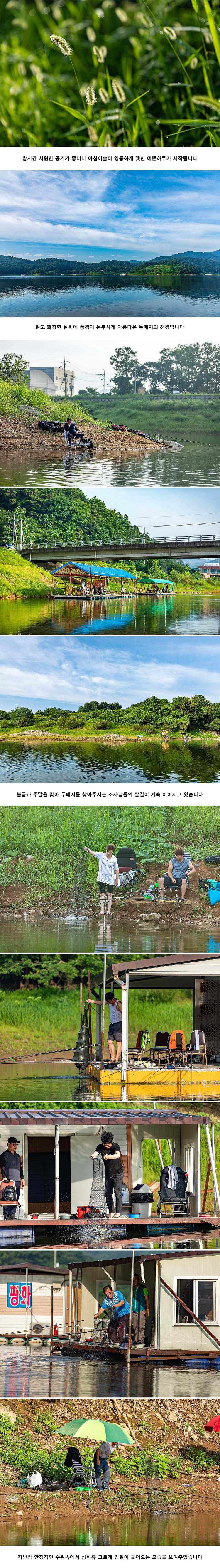 안성 두메낚시터 8월 10일 조황정보 (유료터정보 - 유료터점주조황)