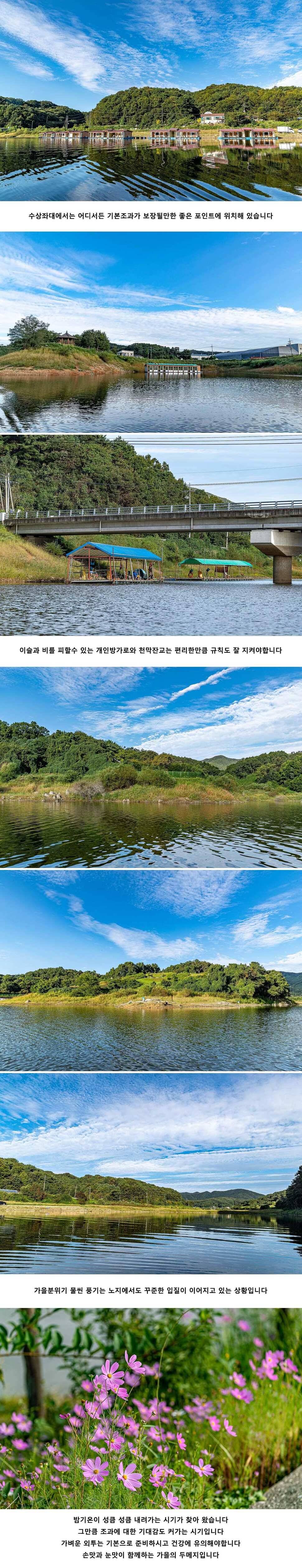안성 두메낚시터 9월 16일 조황정보 (유료터정보 - 유료터점주조황)
