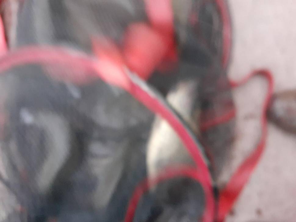경주 동산낚시터붕어전용잡이터지난주 조황 (유료터정보 - 유료터점주조황)