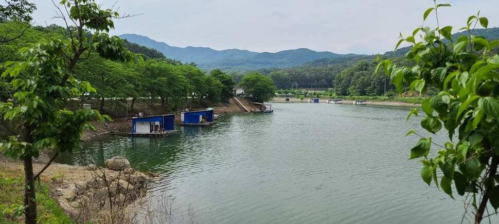 공주 고성낚시터 입니다 (유료터정보 - 유료터점주조황)