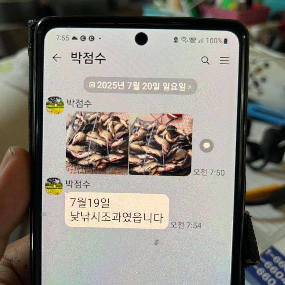 주말 붕어 방류 와 조황 입니다 (유료터정보 - 유료터점주조황)