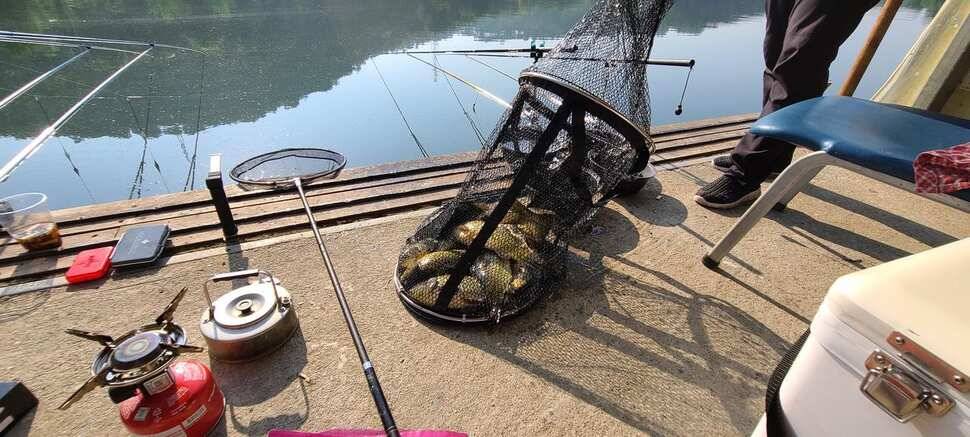 양평 낚시터 수곡낚시터 621 일요일 46cm 대물붕어 포함 씨알좋은 붕어들이 나와주네요 (유료터정보 - 유료터점주조황)