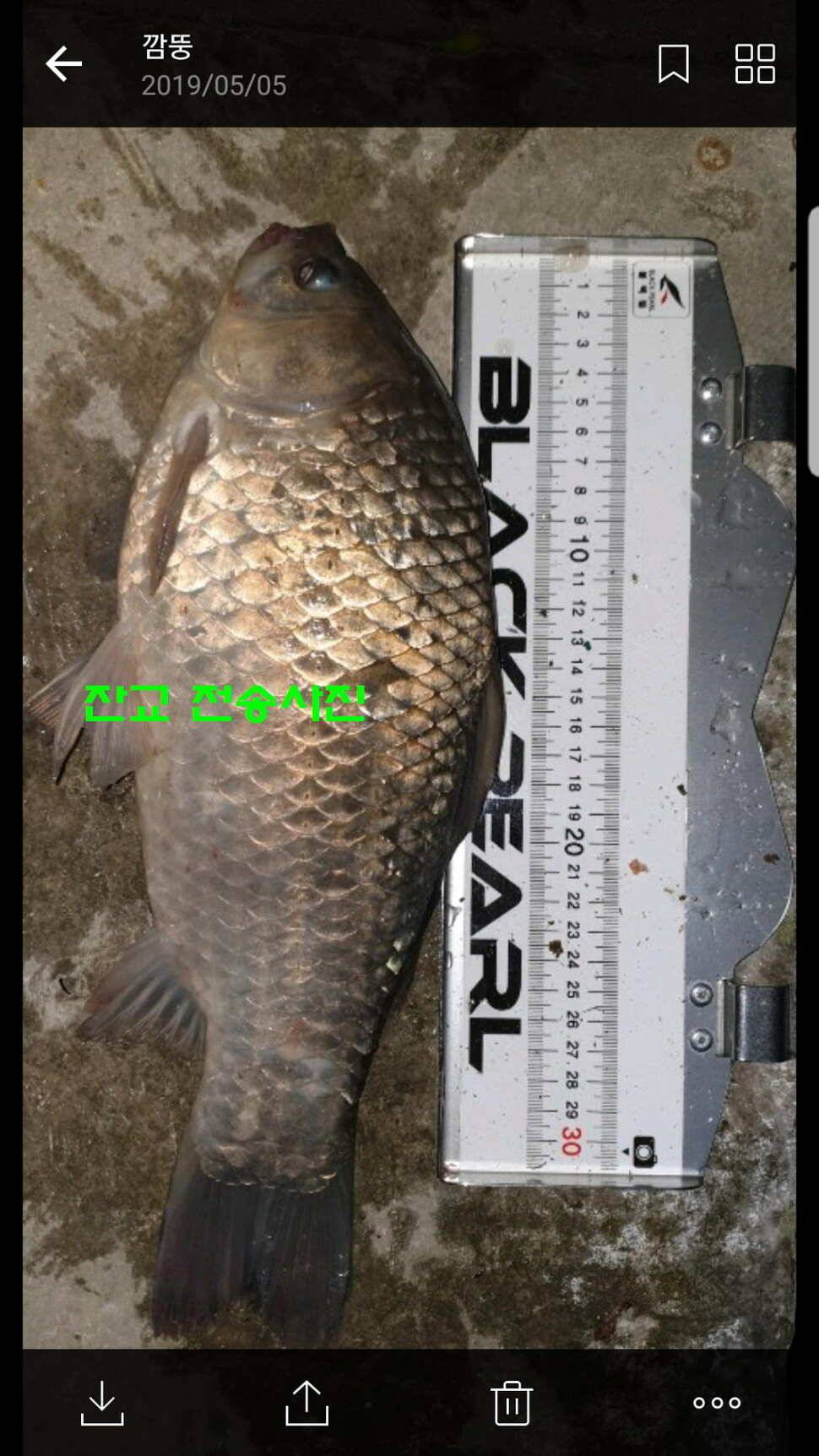 신원낚시터 토종대물 4짜가 풍년입니다풍년 (유료터정보 - 유료터점주조황)