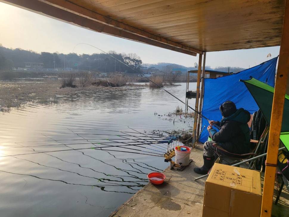 당진 가교리 낚시터 3월 23일 조황입니다 (유료터정보 - 유료터점주조황)