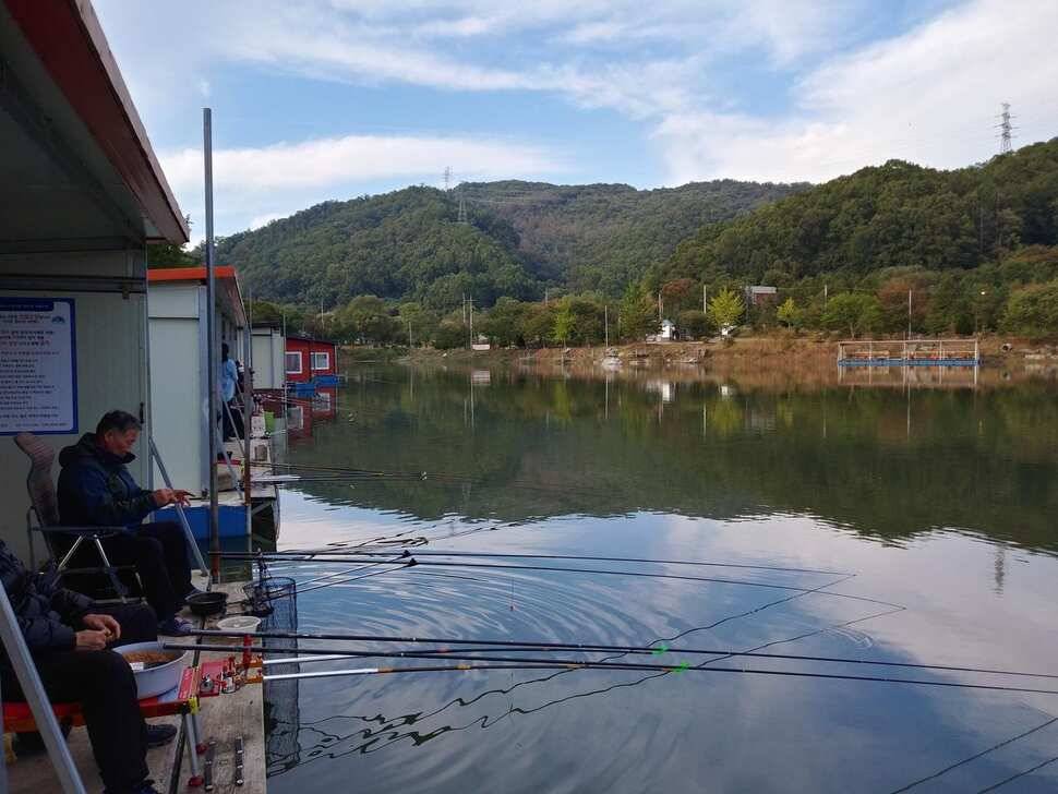 양평 수곡낚시터 오늘 붕어조황 씨알도 마릿수도 더 좋네요 10월10일 금일 붕어 방류 완료했습니다 (유료터정보 - 유료터점주조황)
