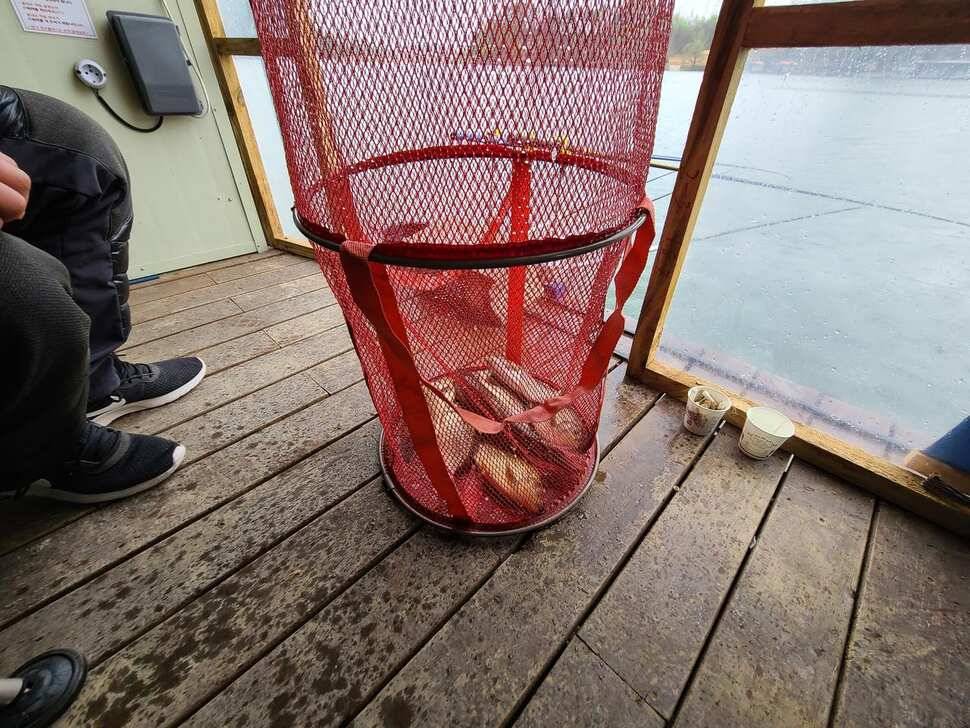 힐링 양평 수곡낚시터 주중주말 조황 및 붕어방류 안내 (유료터정보 - 유료터점주조황)