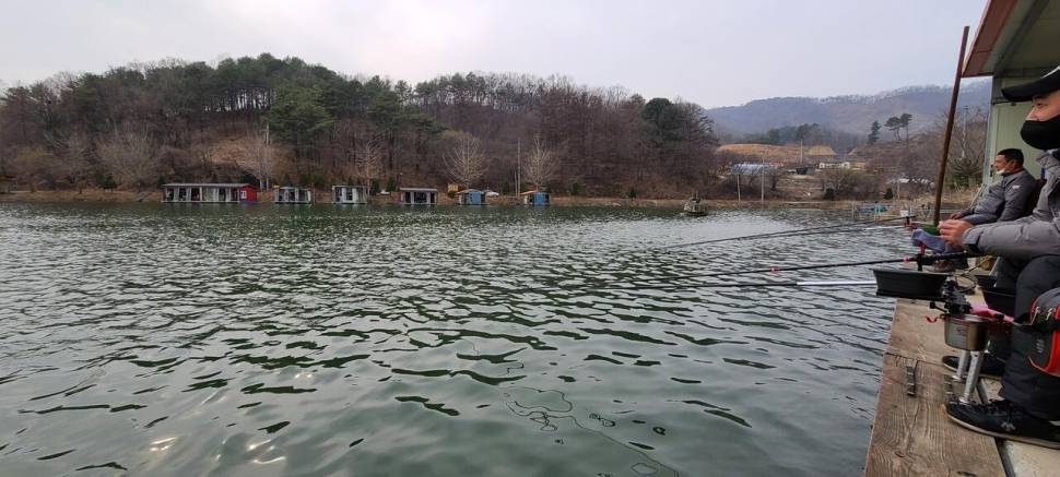 셋째주 양평 수곡낚시터 주초 조황 소식입니다 (유료터정보 - 유료터점주조황)