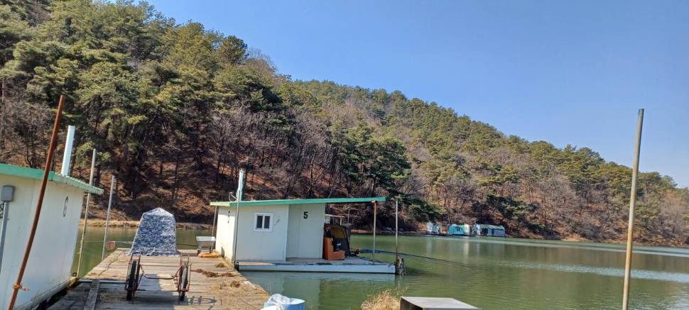 어우실지 영하의날씨에도 올라와준 대물들 (유료터정보 - 유료터점주조황)