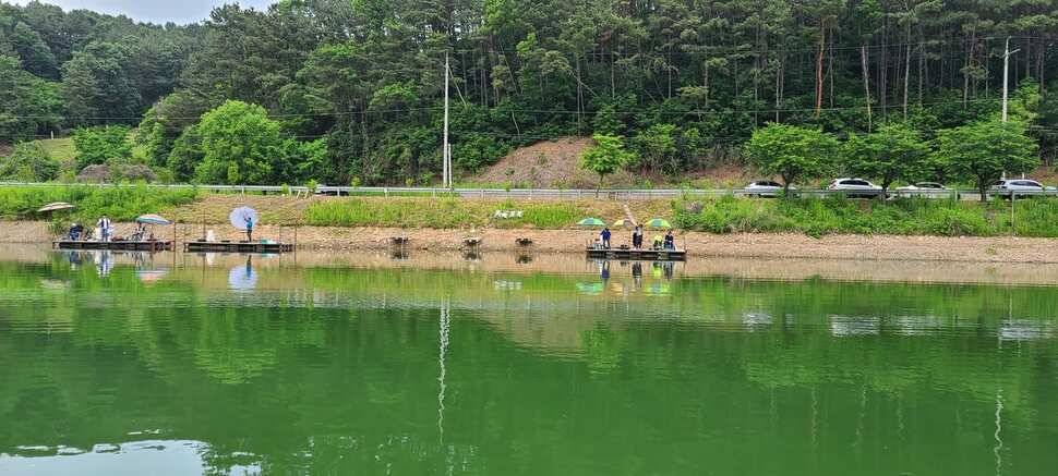 공주 고성낚시터 입니다 (유료터정보 - 유료터점주조황)