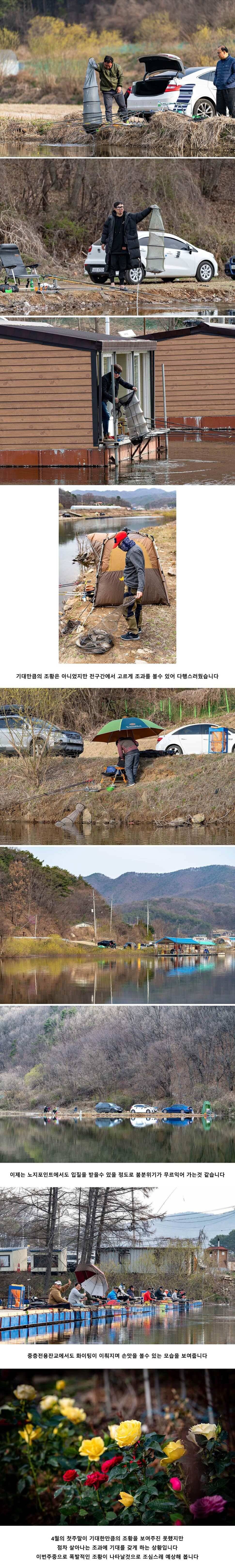 안성 두메낚시터 4월 7일 조황정보 (유료터정보 - 유료터점주조황)