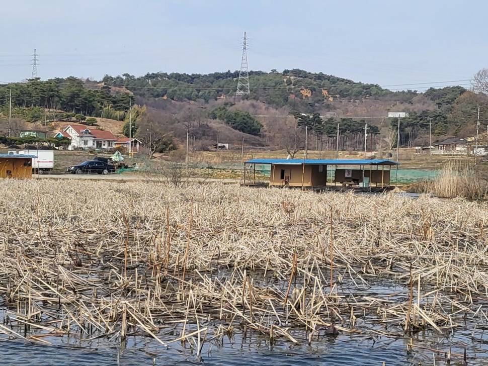 당진 가교리 낚시터 3월 23일 조황입니다 (유료터정보 - 유료터점주조황)