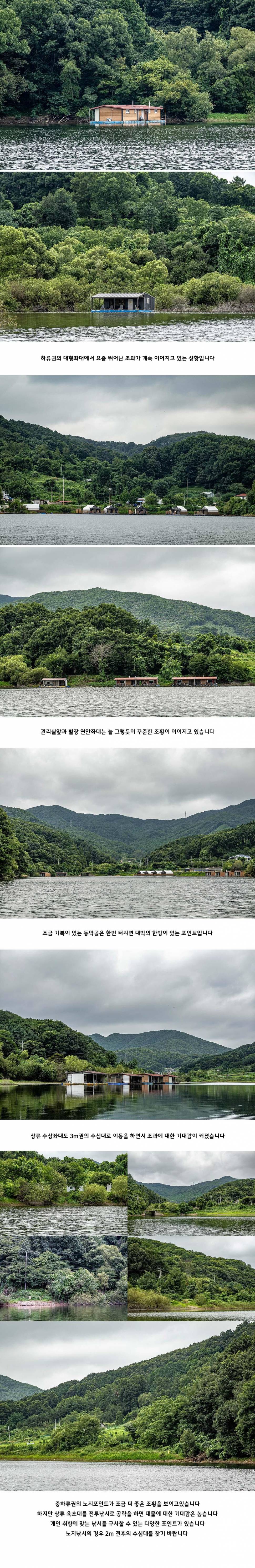 안성 두메낚시터 7월 30일 조황정보 (유료터정보 - 유료터점주조황)