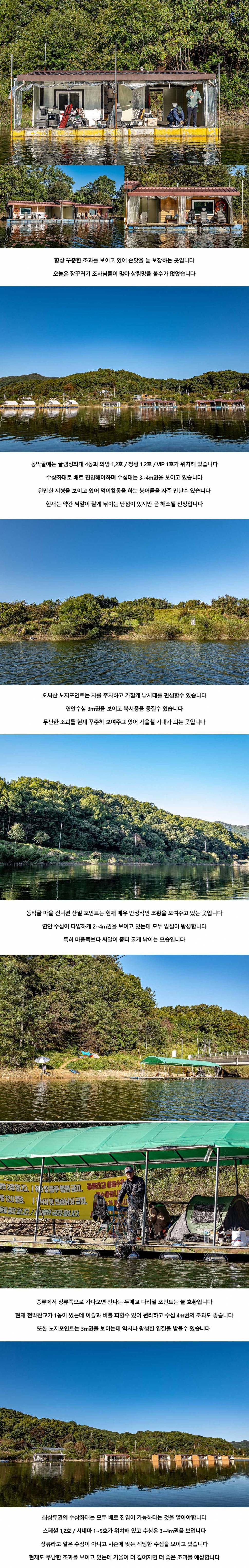안성 두메낚시터 10월 8일 조황정보 (유료터정보 - 유료터점주조황)