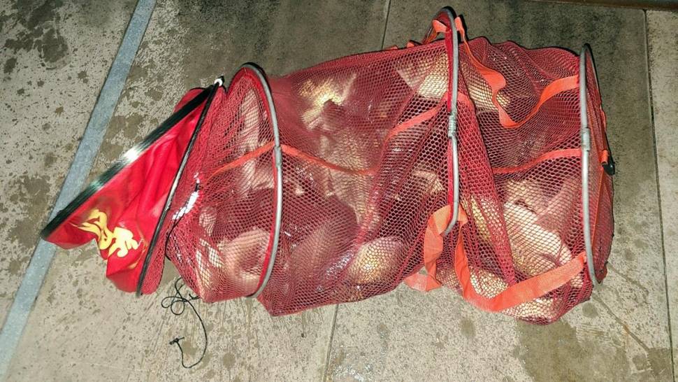 반제지 골고루 대박조황 5월22일아침조황스케치 (유료터정보 - 유료터점주조황)