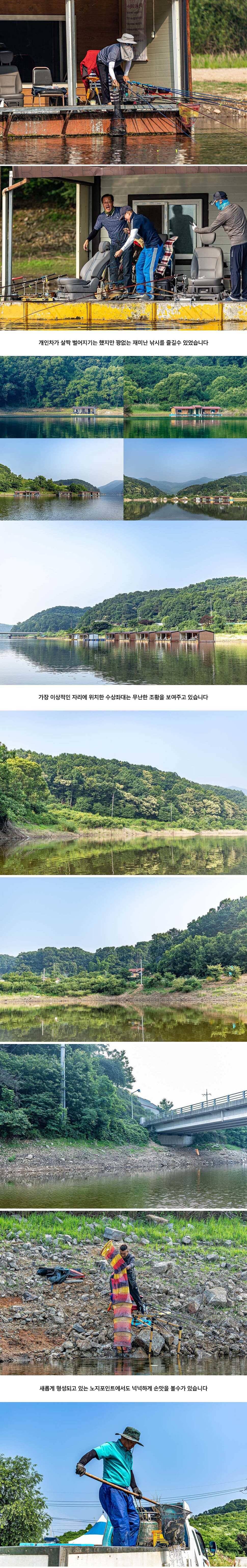 안성 두메낚시터 6월 20일 조황정보 (유료터정보 - 유료터점주조황)