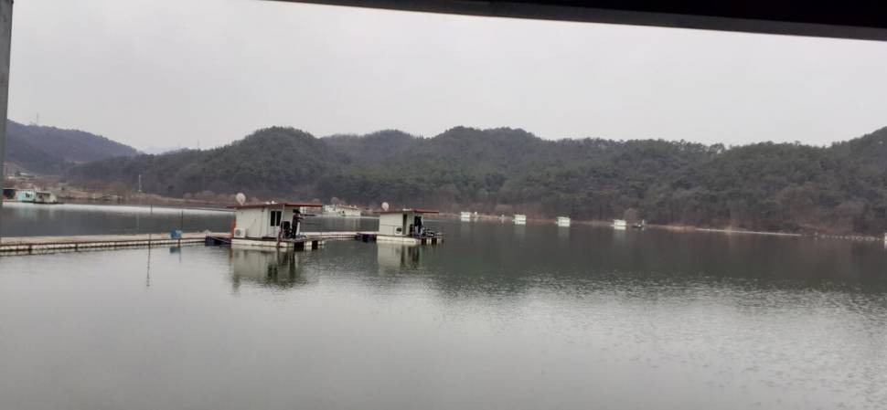 노지에서도 좌대에서도 (유료터정보 - 유료터점주조황)