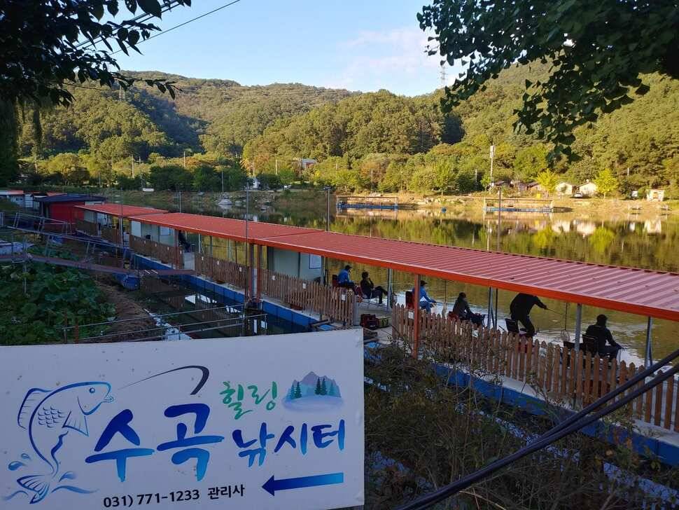 양평 붕어낚시터 수곡낚시터 입도에 더 좋은 조황이 나와주네요 (유료터정보 - 유료터점주조황)