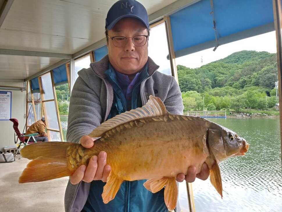 수곡지 양평 수곡낚시터 주중519조황 붕어방류 안내 (유료터정보 - 유료터점주조황)