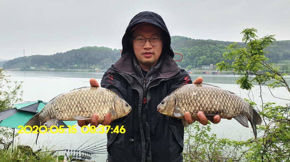 신원낚시터 5월25일 토종대물 43짜리와 덩어리 사진입니다 (유료터정보 - 유료터점주조황)