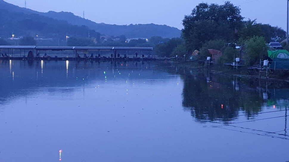 아산 명품 월랑낚시터 5월 네번째 조황이야기입니다 (유료터정보 - 유료터점주조황)