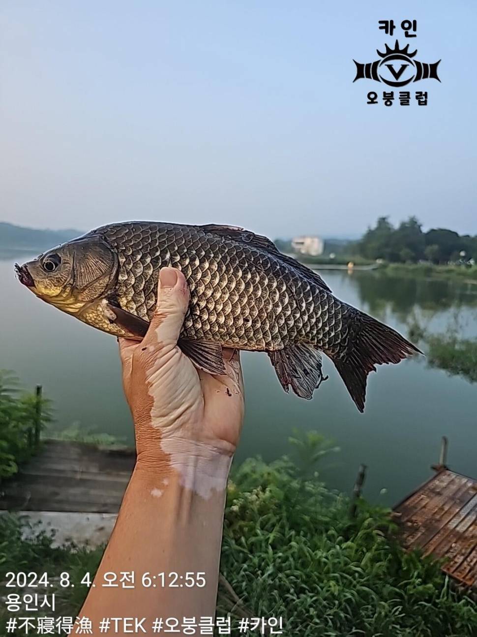 2024년 8월 둘째주 조황정보 용담낚시터사암지4짜 3마리 (유료터정보 - 유료터점주조황)