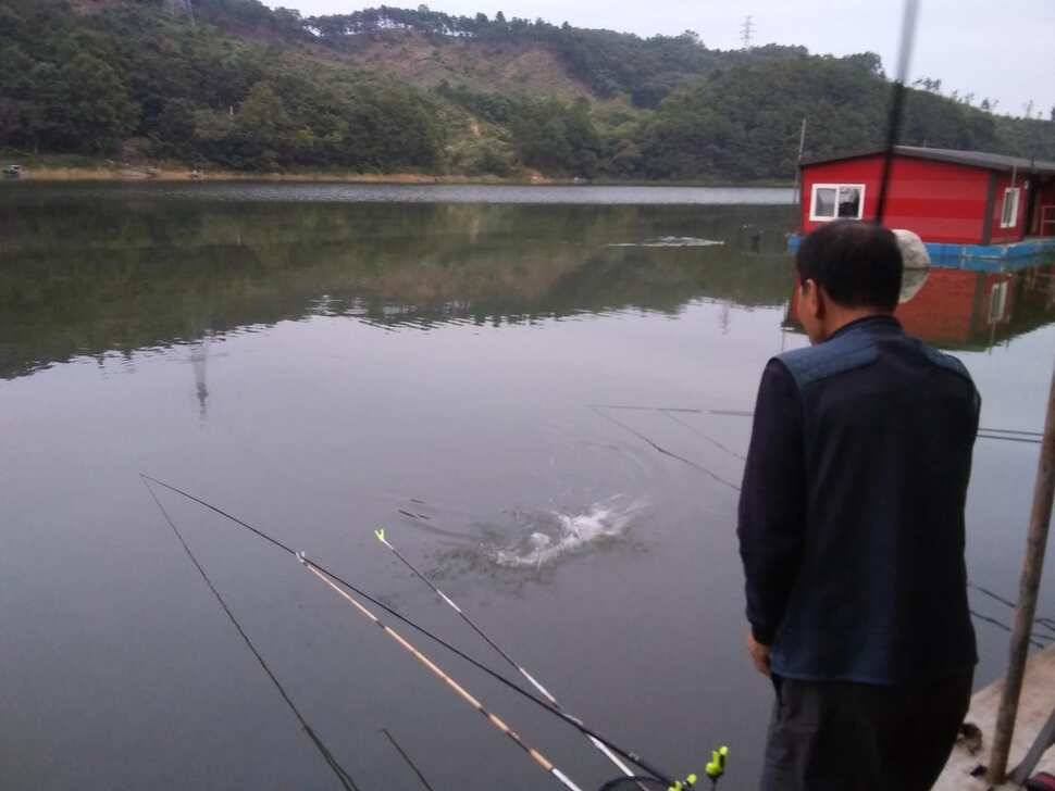 힐링 수곡낚시터 호조황이 큰편차없이 어제와 오늘도 이어지고 있습니다 (유료터정보 - 유료터점주조황)
