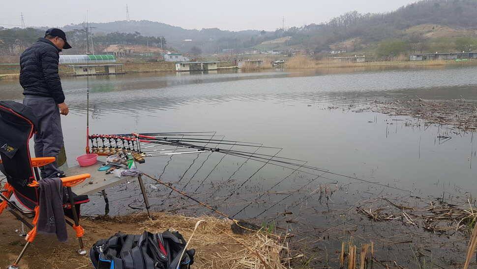 가교리낚시터 4월 19일 조황 (유료터정보 - 유료터점주조황)