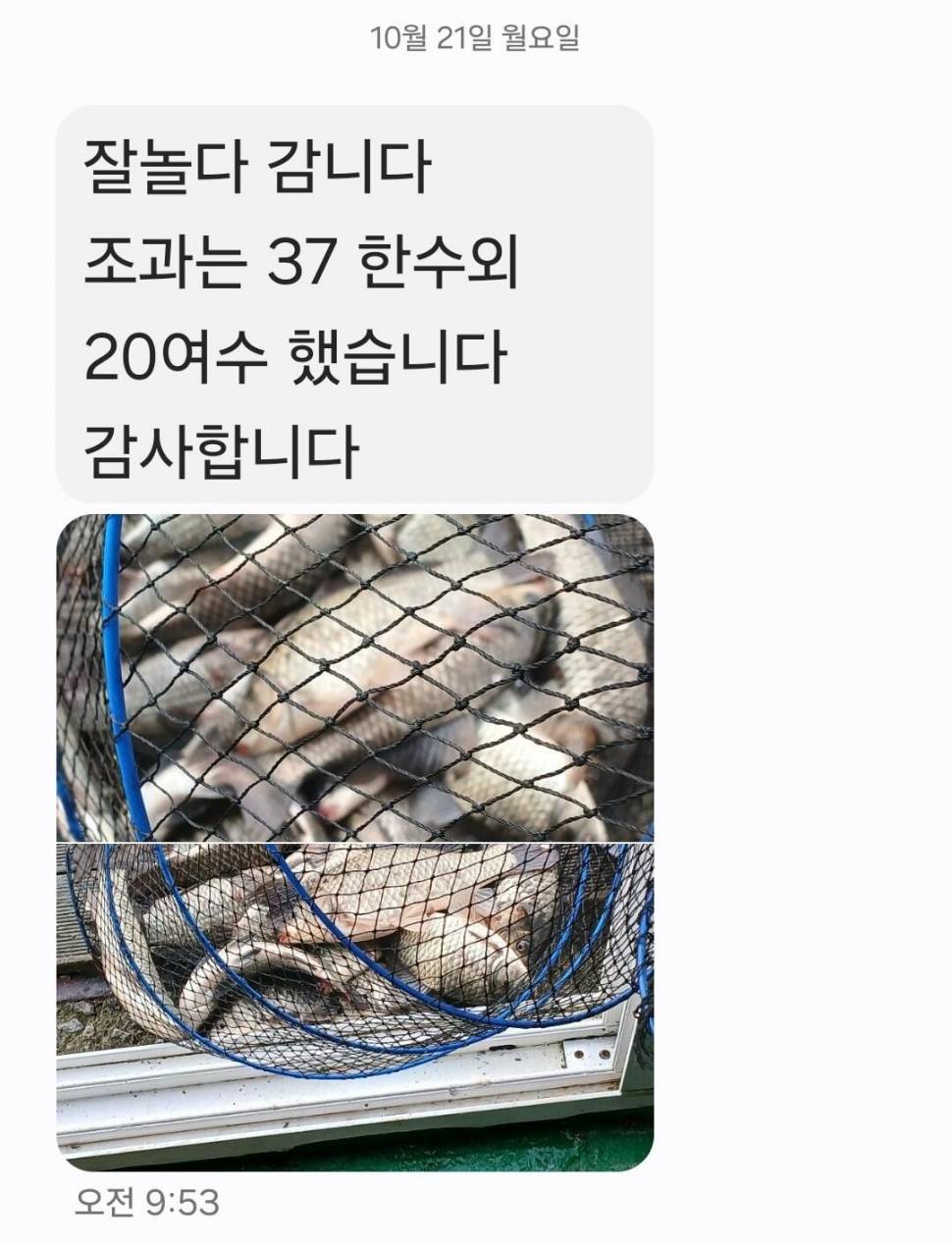 2024년 10월 넷째주 조황정보 용담낚시터사암지사짜 11마리 (유료터정보 - 유료터점주조황)
