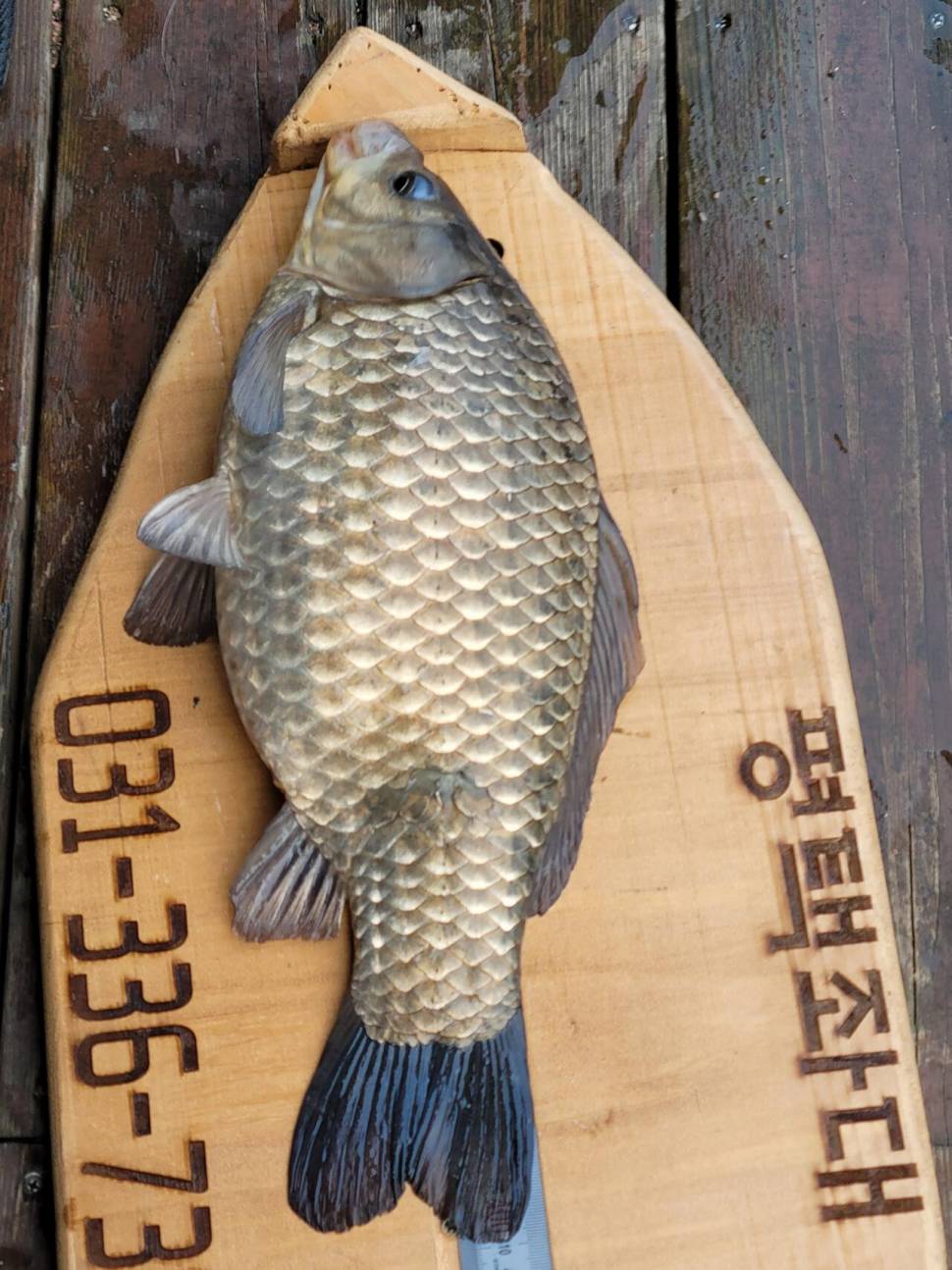2021년3월14일 송전지 평택죄대 주말조황입니다 (유료터정보 - 유료터점주조황)