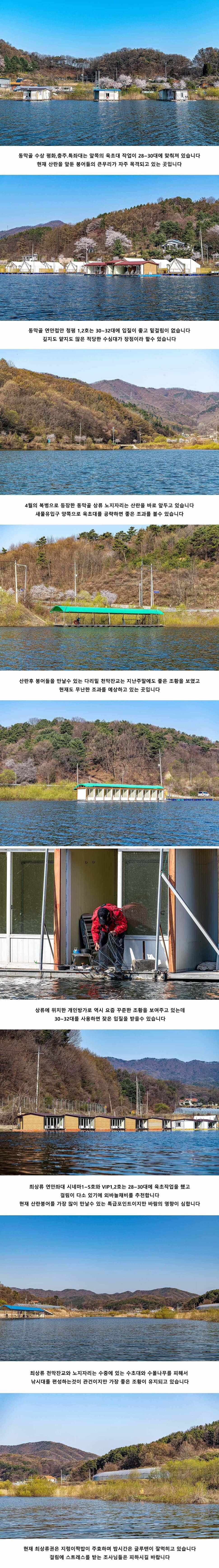 안성 두메낚시터 4월 10일 조황정보 (유료터정보 - 유료터점주조황)