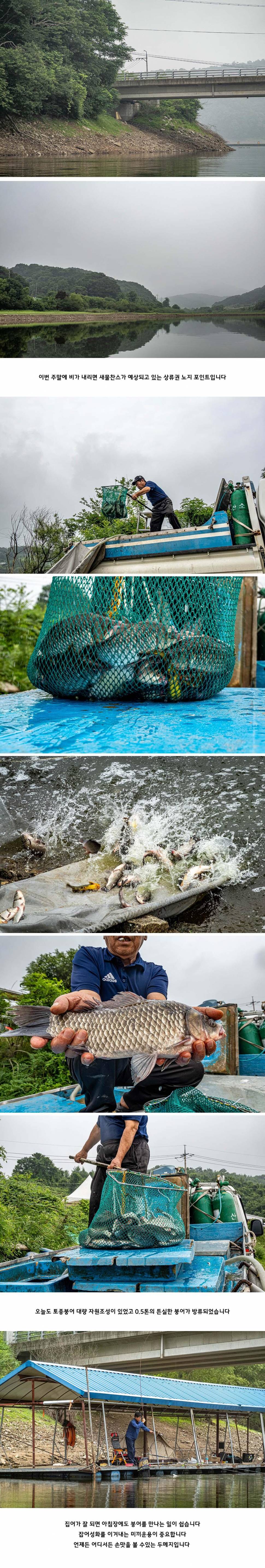 안성 두메낚시터 6월 27일 조황정보 (유료터정보 - 유료터점주조황)