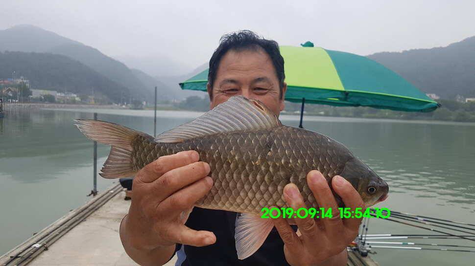 신원낚시터 토종대물 덩어리와 4짜가 마릿수로 (유료터정보 - 유료터점주조황)