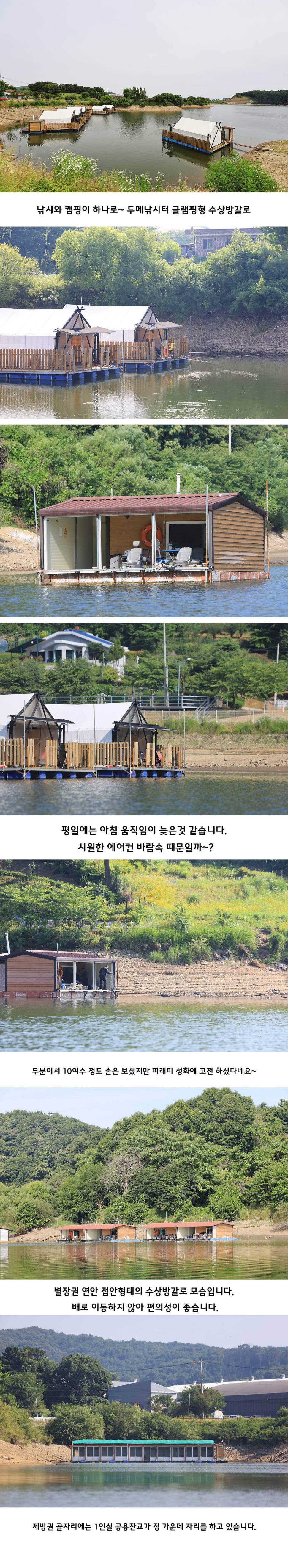 안성 두메낚시터 6월18일 조황안내 (유료터정보 - 유료터점주조황)