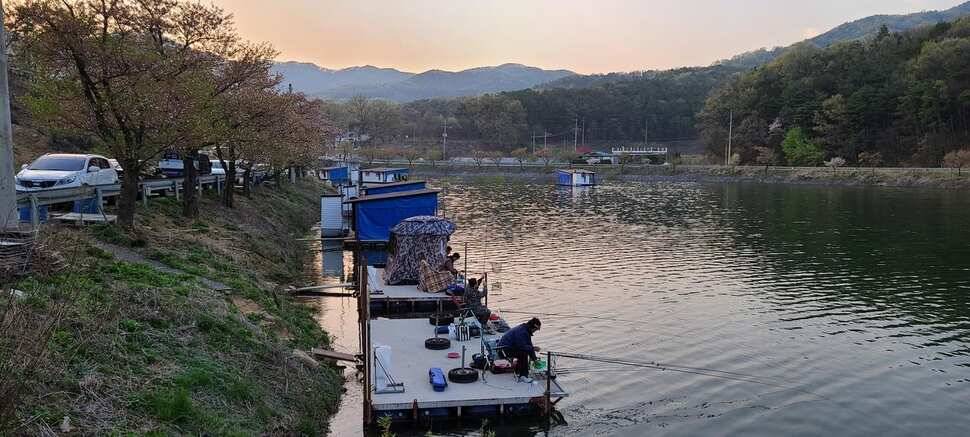 공주 고성낚시터 입니다 (유료터정보 - 유료터점주조황)