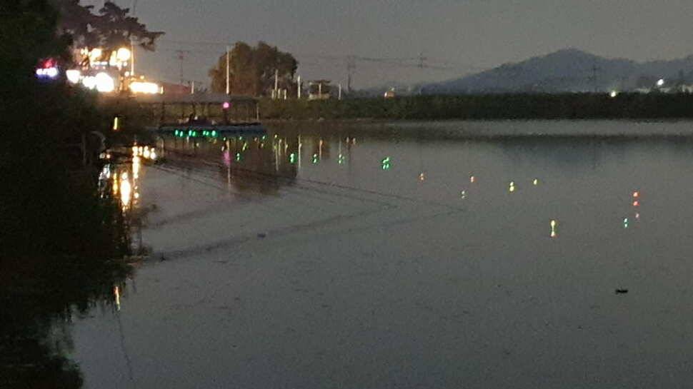 아산 명품 월랑낚시터 5월 네번째 조황이야기입니다 (유료터정보 - 유료터점주조황)