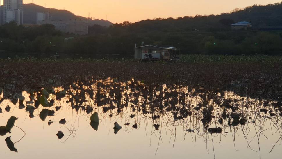 아산 명품 월랑낚시터 10월 마지막조황이야기입니다 (유료터정보 - 유료터점주조황)