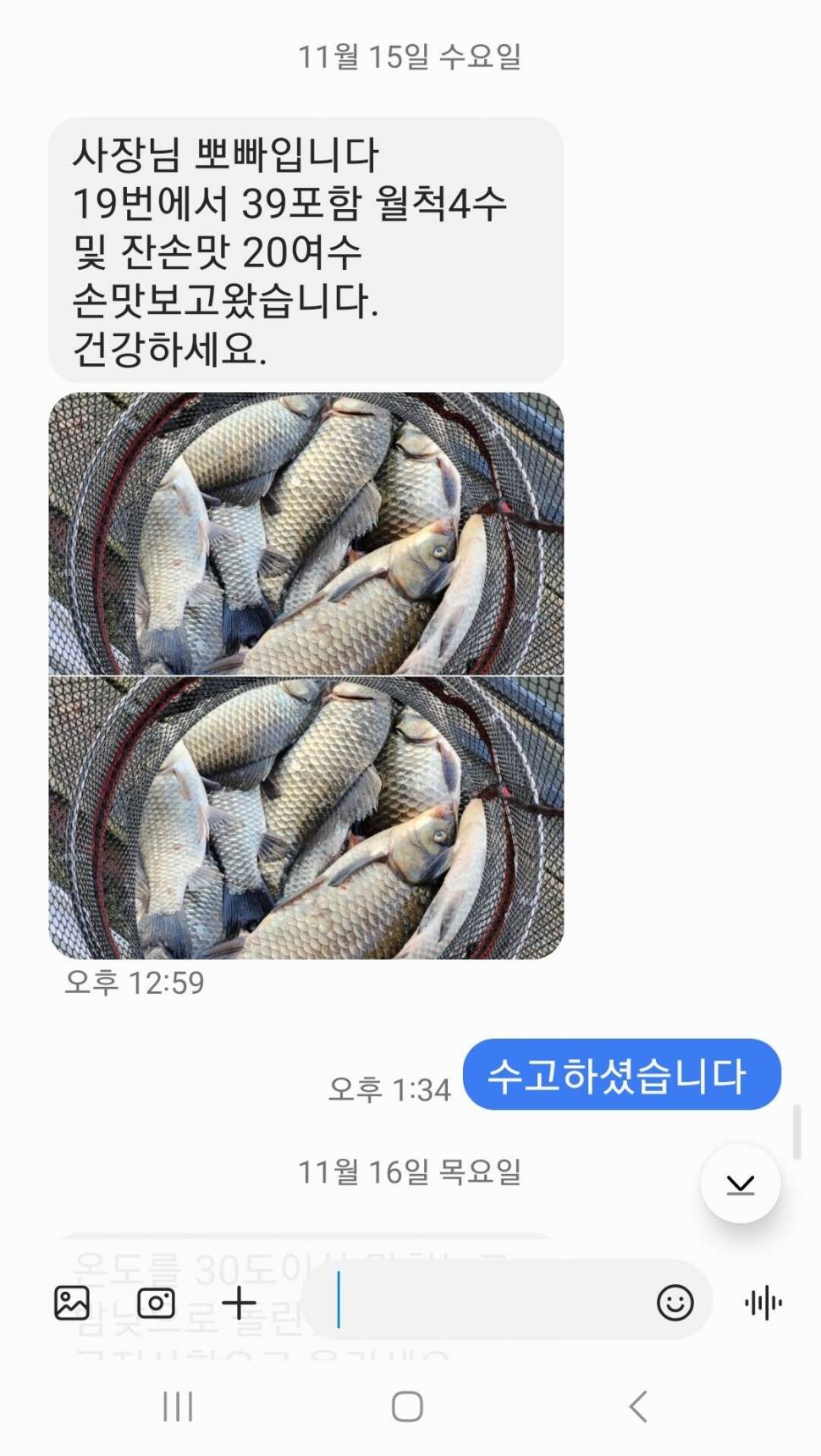 2023년 11월 셋째주 조황정보 용담낚시터사암지 (유료터정보 - 유료터점주조황)