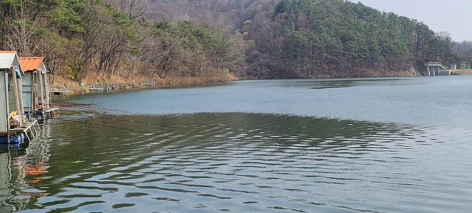 넷째주 주중반 힐링 수곡낚시터 호조황 포함 조과입니다 (유료터정보 - 유료터점주조황)