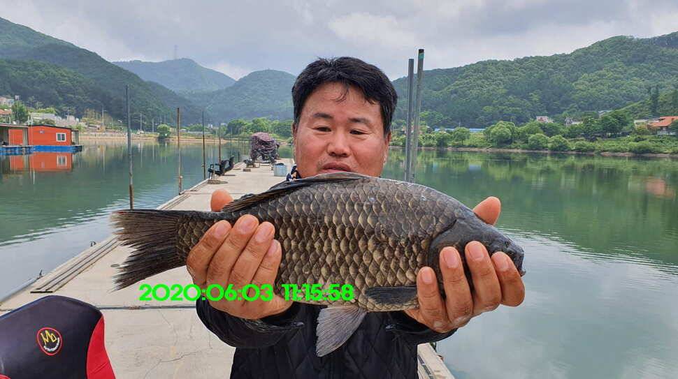신원낚시터 6월10일 토종대물 덩어리들 사진입니다 (유료터정보 - 유료터점주조황)