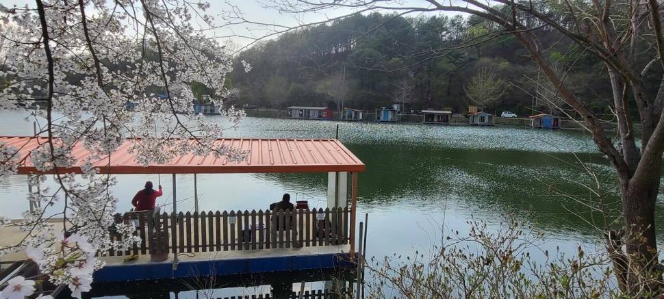 4월둘째주 양평 힐링 수곡낚시터 조황 붕어방류 (유료터정보 - 유료터점주조황)