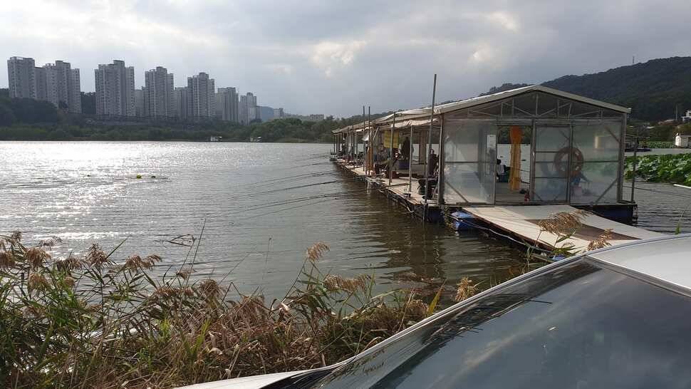 아산 명품 월랑낚시터 10월 첫번째 조황이야기입니다 (유료터정보 - 유료터점주조황)