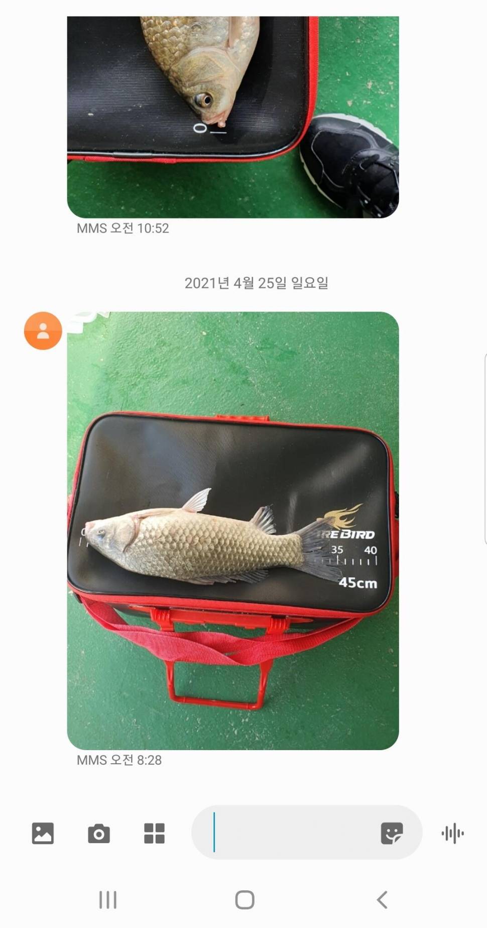 2021년 4월 마지막주 조황정보 용인 용담낚시터사암지 (유료터정보 - 유료터점주조황)