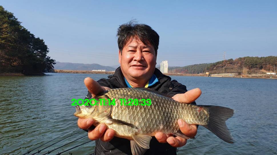 신원낚시터11월18일 토종붕어 방류 동영상과 조황 소식 입니다 (유료터정보 - 유료터점주조황)